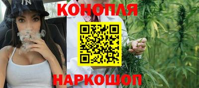 стафф Долгопрудный